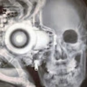 Meet your Posher, Paige